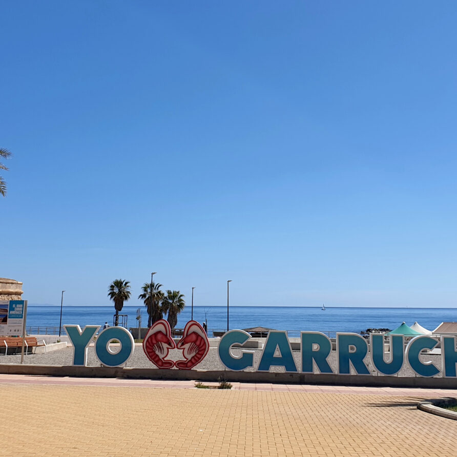 holiday-almeria-near-Mojacar-Garrucha-sunny-beach-sand-sea-view-vacaciones-almeria-cerca-Mojacar-soleado-playa-arena-vista-sal-mar-yo-4